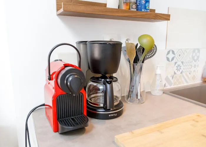 T3 De Tourisme Voltaire Apartment *