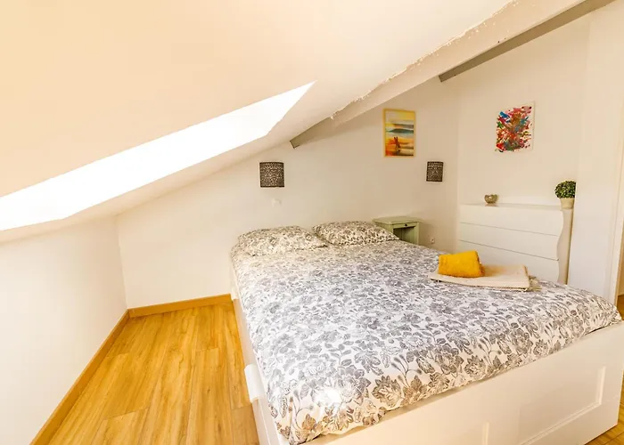 T3 De Tourisme Voltaire Apartment