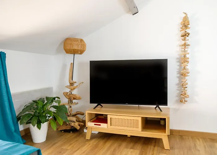 T3 De Tourisme Voltaire * Hyeres